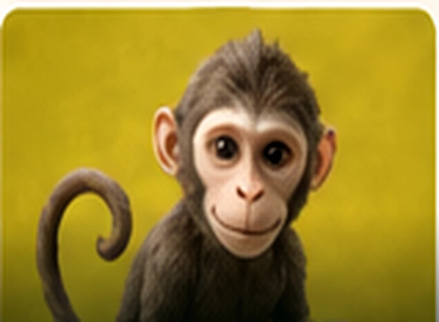 Monkeys
